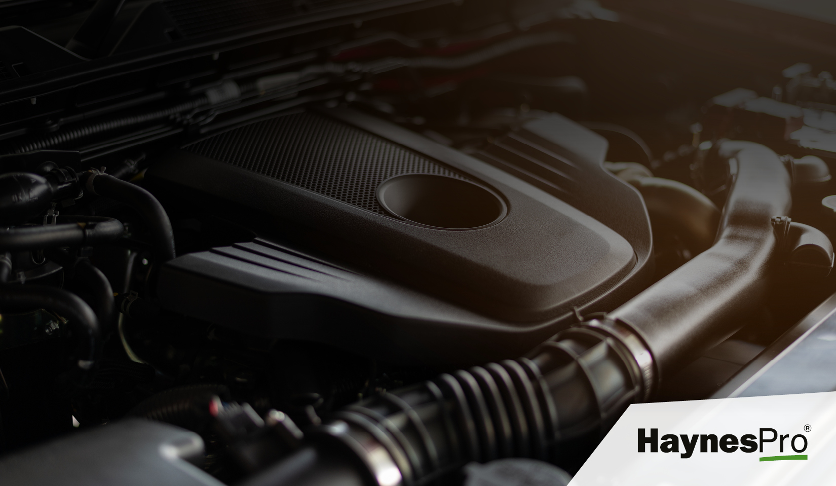 Dienstleistung HaynesPro