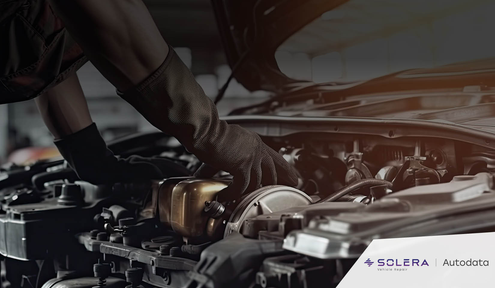 Dienstleistung Autodata